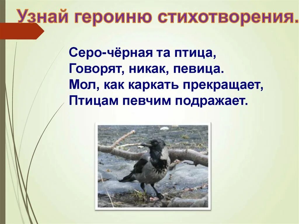 Анализ стихотворения у птицы есть. Блок ворона. Как говорят птицы. Серо черная та птица говорят никак. Блок ворона стихотворение текст.