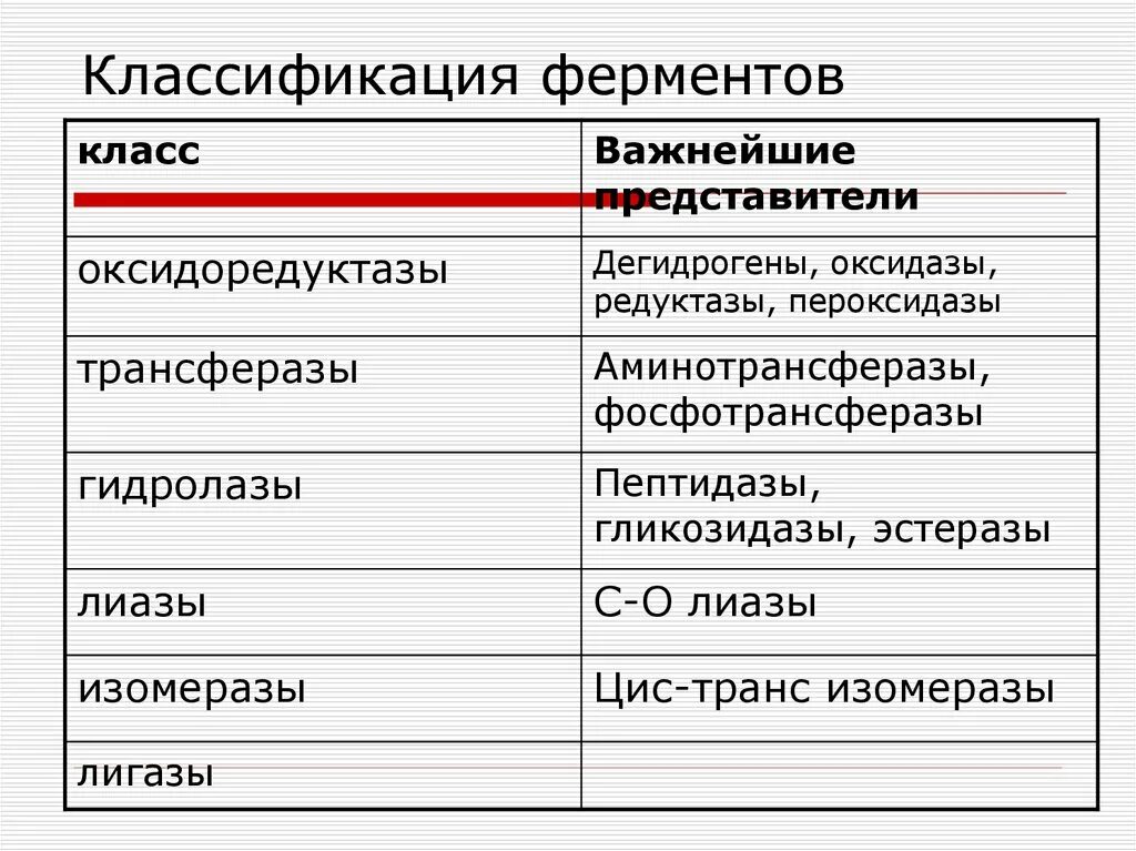 К группе ферментов относится. Классификация ферментов схема. Клссификацияферментов. Ферменты классификация ферментов. Класс и подкласс ферментов.