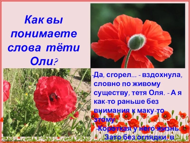 Сюжет произведения живое пламя. Живое пламя. Живое пламя Носова. Носов е. "живое пламя". Тетя Оля живое пламя.