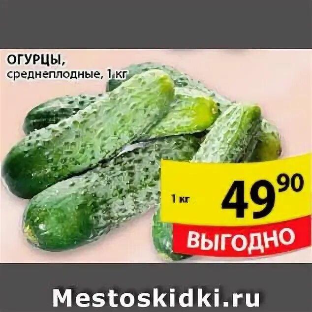 Огурцы в упаковке. Свежие огурцы в пятерочке. Пятерочка огурцы свежие. Огурцы из пятерочки. Огурцы свежие длинные.