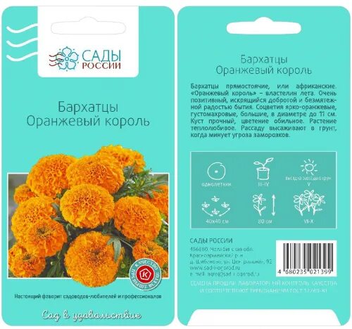 Оранжевый король. Календула махровая гейша. Цинния георгиноцветковая оранжевый король. Семена цинния оранжевый король. Циния пепито дварф микс георгиноцв поиск ц.