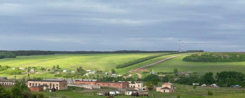 Бугурусланский сельсовет. Село Пилюгино Бугурусланский район Оренбургская область. Село Кокошеевка Бугурусланский район. Коптяжево Бугурусланского района. Совхоз Прогресс Оренбургская область.