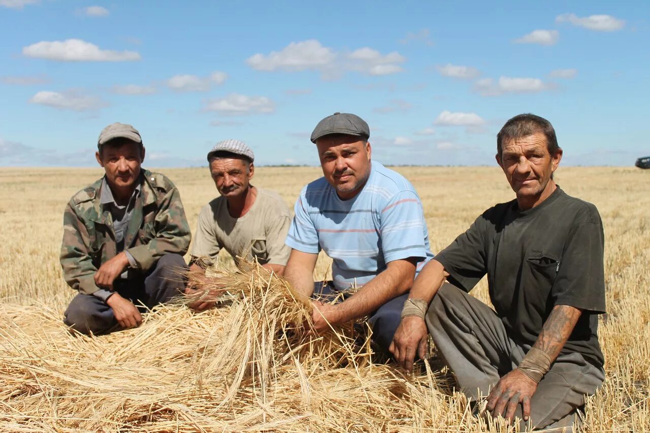 Точный прогноз погоды в кизильском. Кизильский район. Кизильский район хозяйство. Полоцкое Кизильский район Челябинская область.