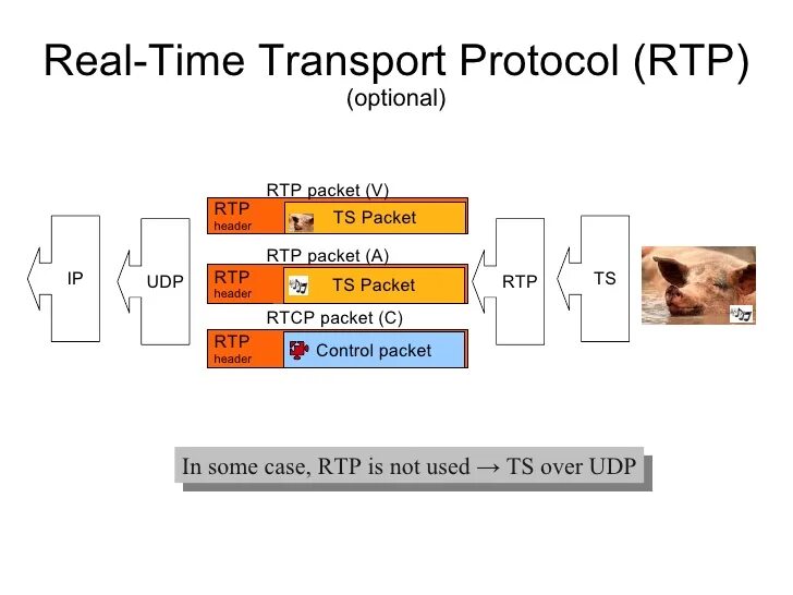 Some packet. Протоколы RTP И RTCP. RTP пакет структура. Пакет протокола RTP. Структура RTP протокола.