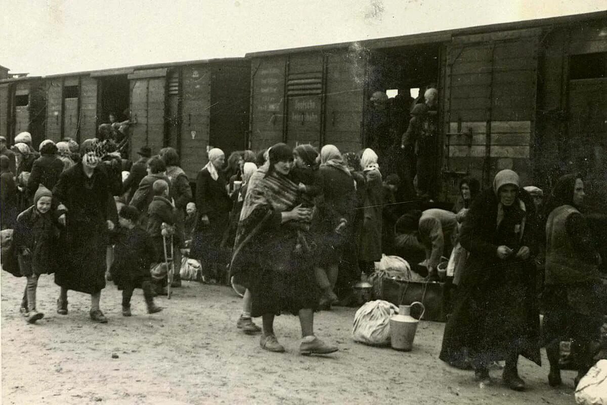 Немцы поволжья в сибири. Депортация немцев поволжья. депортация немцев поволжья в 1941. депортация поволжских немцев 1941 год. депортация репрессированных народов ссср.