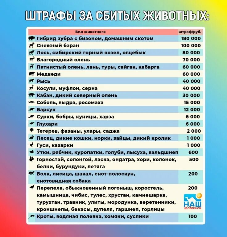 Сколько штраф за сбитую косулю. Штраф за сбитое животное. Сколько штраф за сбитую косулю. Штрафы за сбитых животных 2021. Таблица штрафов за сбитое животное.