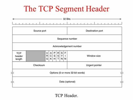 Tcp заголовок размер