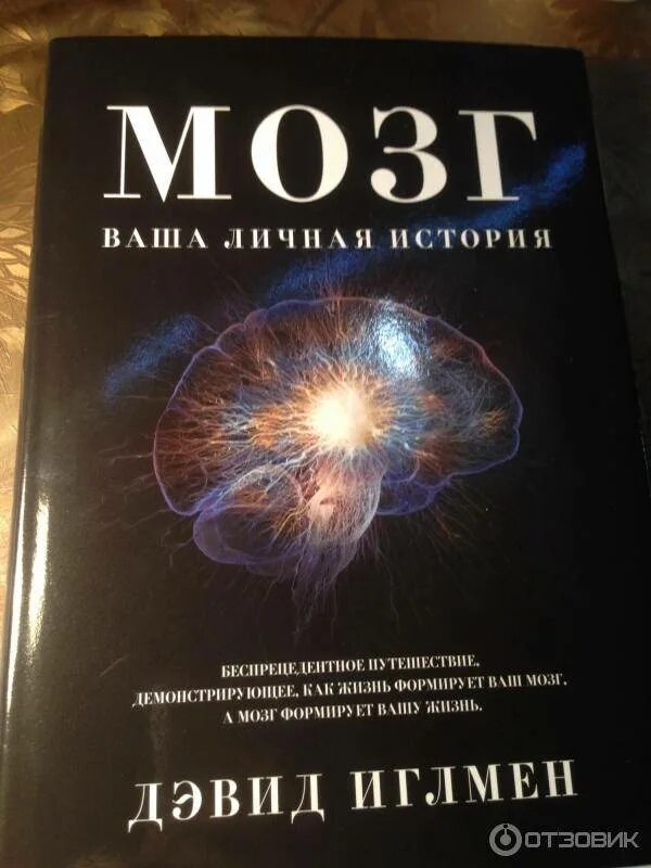 Мозг книга дэвид. Книга мозг. Книга про мозг человека. Книга с мозгом на обложке. Книга мозг Дэвида.
