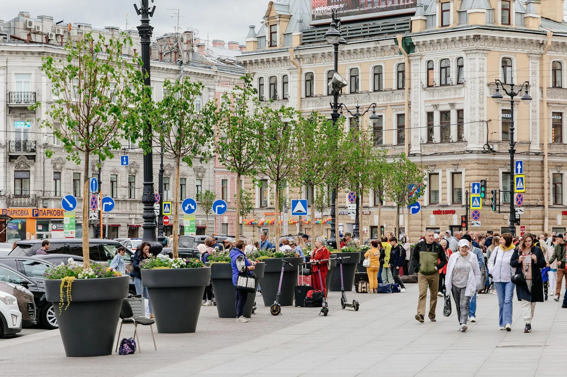 1 июня спб. Деревья на Невском проспекте в Санкт-Петербурге. Липы на Невском проспекте.