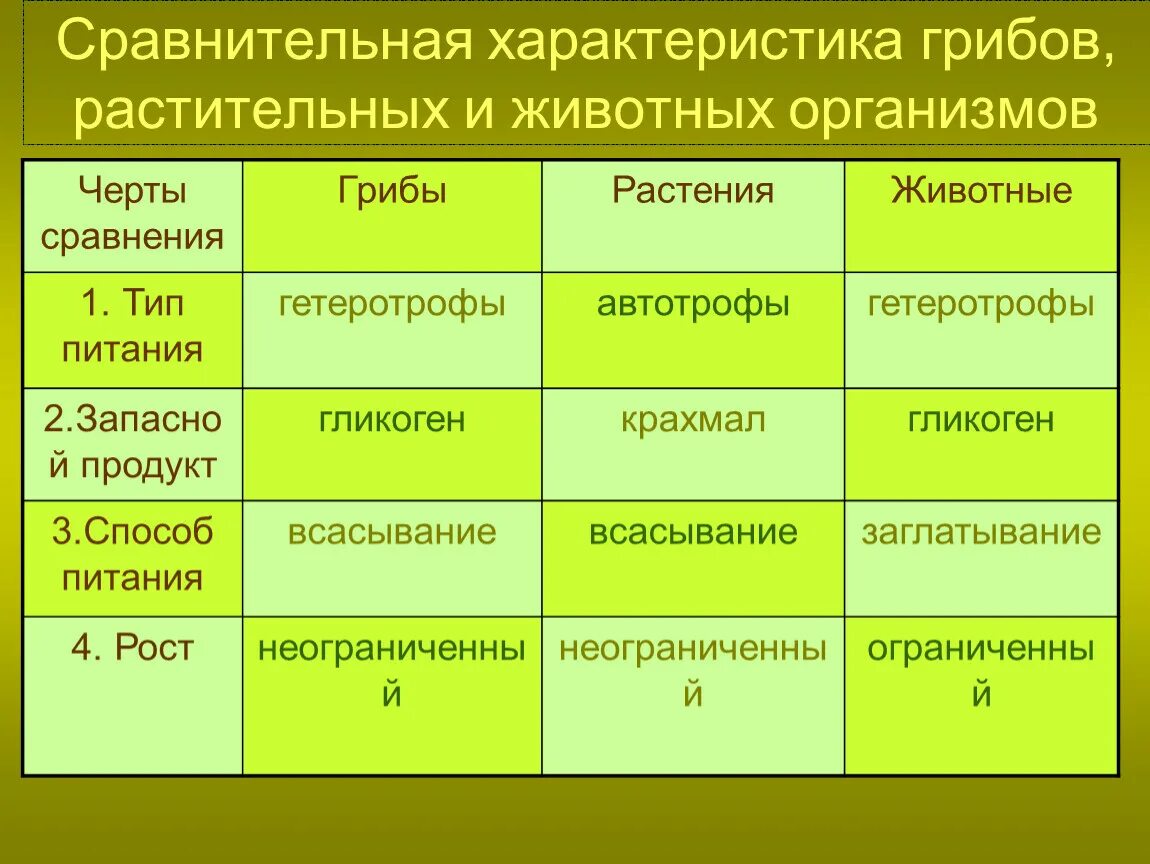 Сравнение бактерий грибов и растений. Характеристика грибов. Сравнительная характеристика грибов. Общая характеристика грибов таблица. Сравнительная характеристика грибов и животных.