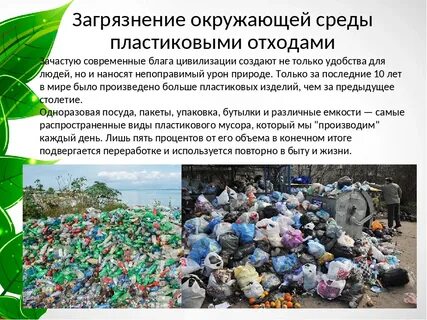 Загрязнение окружающей среды определение проблемы