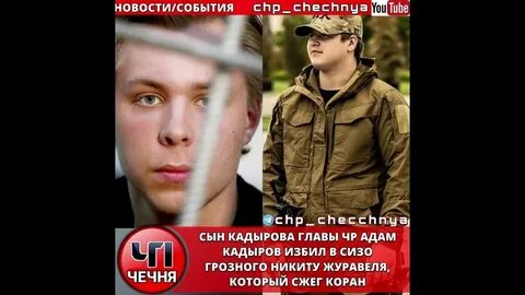 Кадыров журавель избили