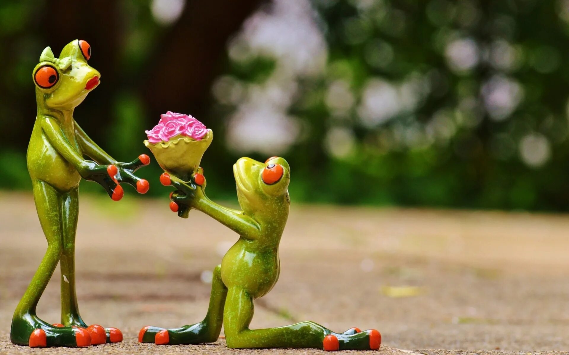 объятия животных. веселые рисунки про любовь. приколы про влюбленных. влюблённые лягушки. смешные любовные картинки.