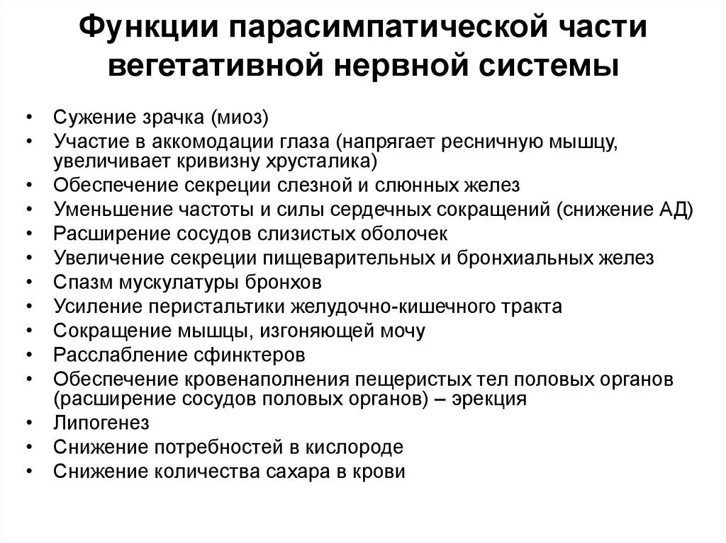 Парасимпатическая вегетативная нервная система функции. Функции парасимтатической невреой системы. Парасимпатическая нервная система функции. Функции парасимпатической вегетативной нервной системы. Функции парасимпатического отдела вегетативной нервной системы.