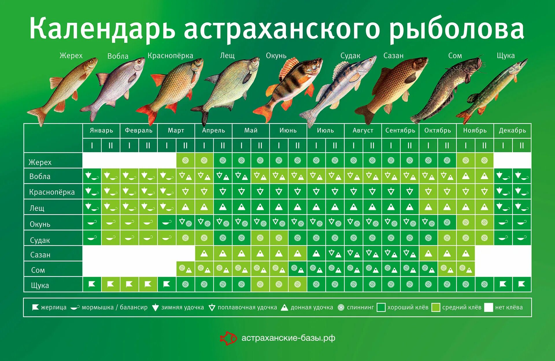 Календарь рыбака на март месяц. Таблица рыболова 2021. Календарь рыболова. Лунный календарь рыболова. Календарь рыбака 2021.