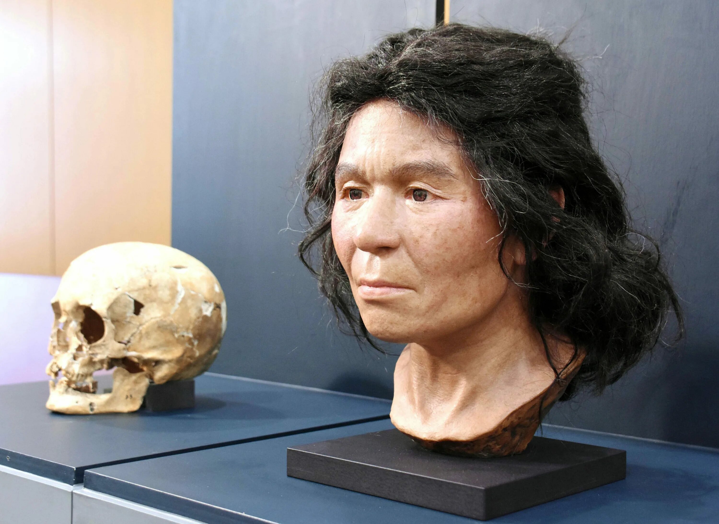 Доисторическая женщина. Живущий 2 тысячи лет