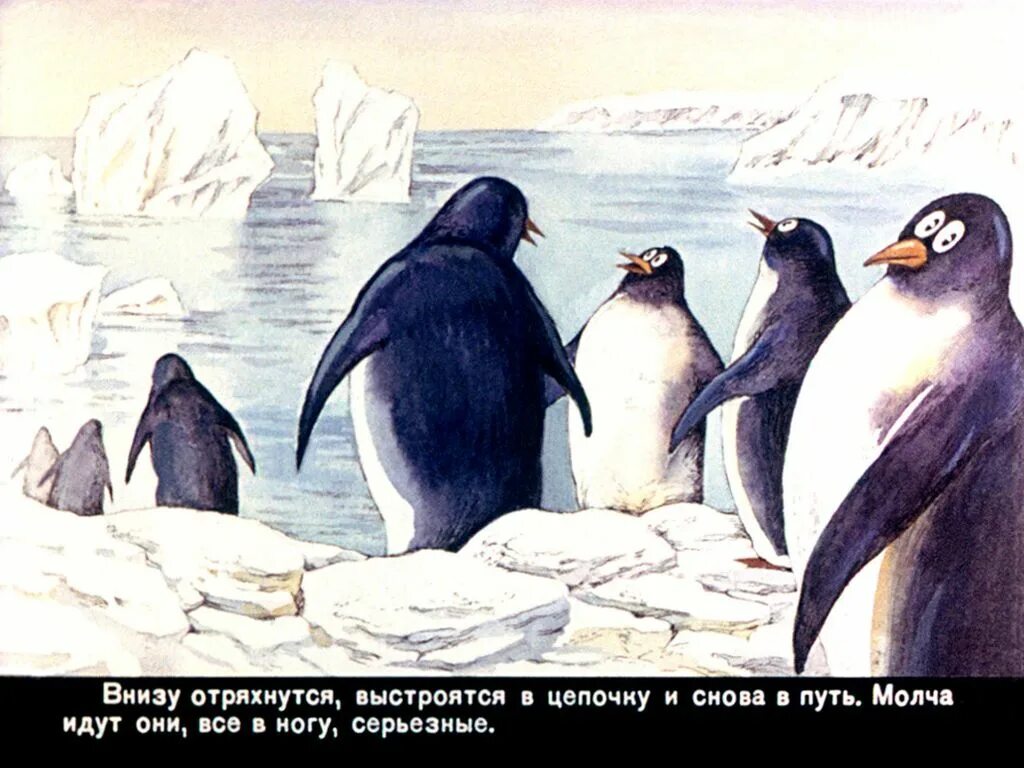 Иллюстрации к рассказам Снегирева про пингвинов. Снегирев про пингвинов. Г. Снегирева «Пингвиний пляж».. Г Снегирева про пингвинов рассказ.