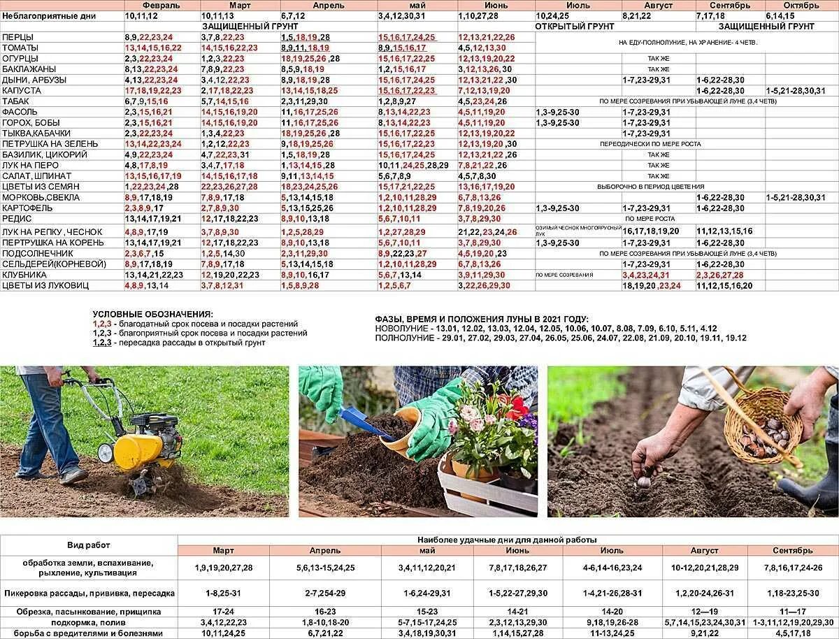 Благоприятные дни посева рассады цветов марте 2024г. Лунный календарь огородника. Лунный календарь посадок на этот год. Календарь посадки семян. Календарь посадок на 2022 год для садоводов и огородников.