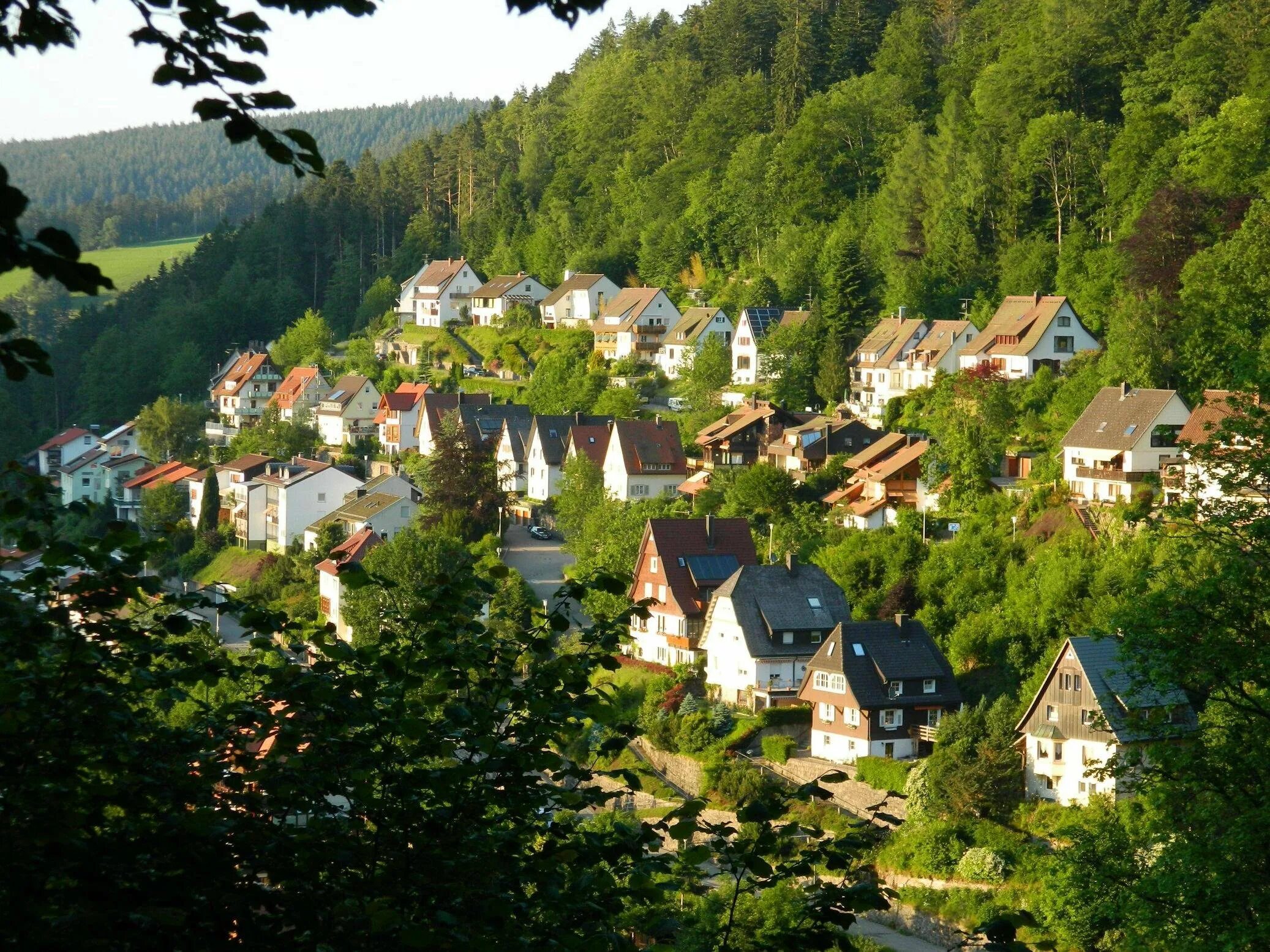 Black forest. Деревня Шварцвальд Германия. Шварцвальд Германия границы. Швейцария Блэк Форест. Black Forest база Германия.