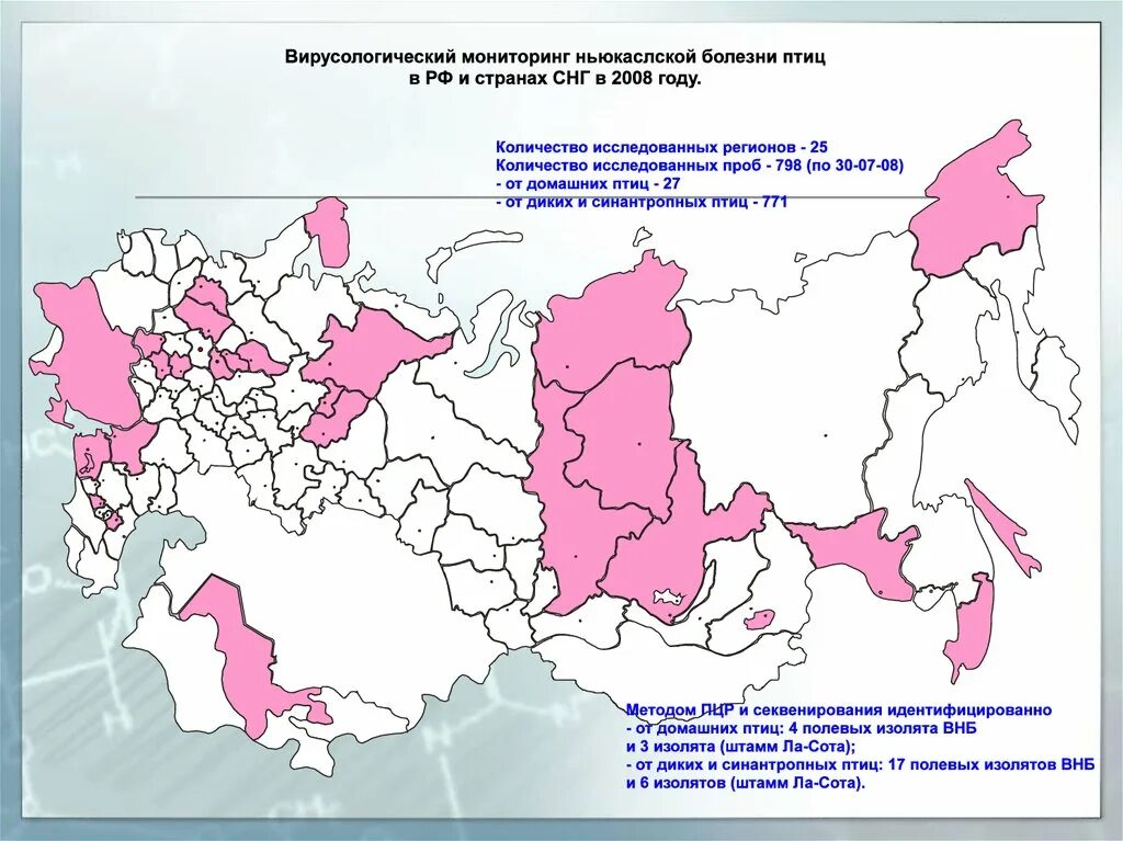 Против ньюкаслской болезни. Болезни птиц и их статистика. Локализация ньюкаслской болезни. Ньюкаслская болезнь птиц.