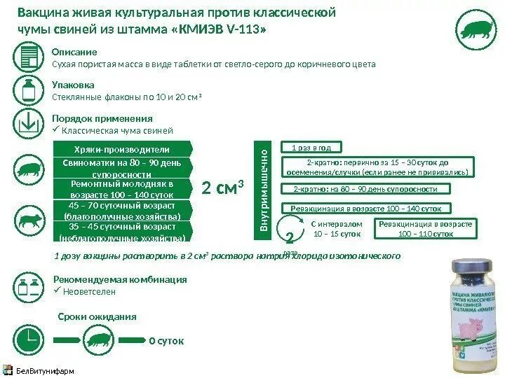 Вакцина внииввим. Вакцина КС против классической чумы свиней. Вакцина КС против классической чумы свиней инструкция. Вакцина против классической чумы свиней Ветбиохим. Вакцина против классической чумы свиней ЛК-ВНИИВВИМ (100д/амп).