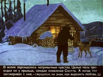 Автор написавший про белого клыка 6