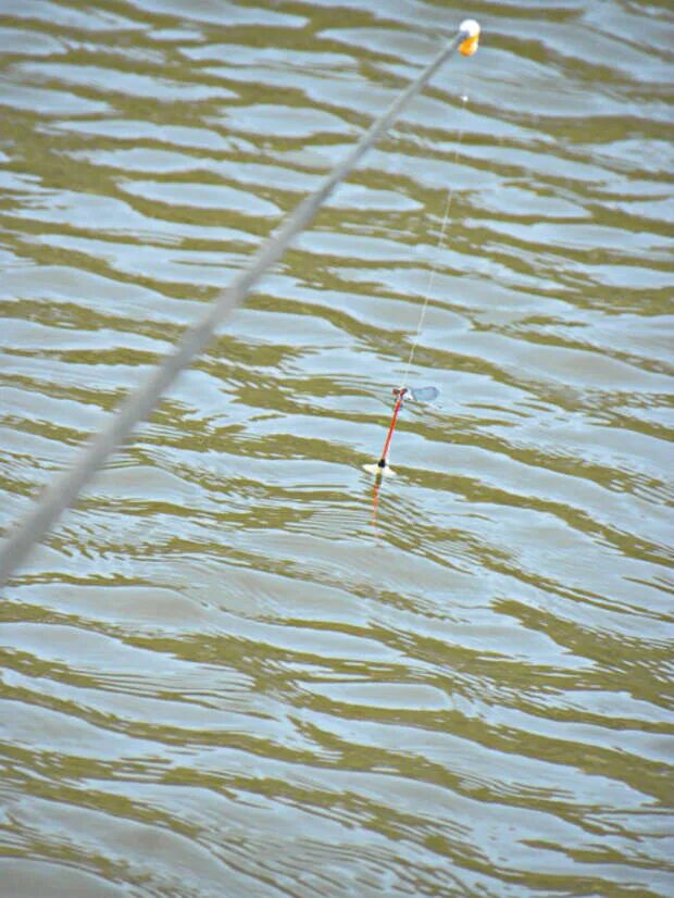 Лесок лимонад. Лесок вода. Открытые водоемы. Балбашев пруд. Красивый пруд.