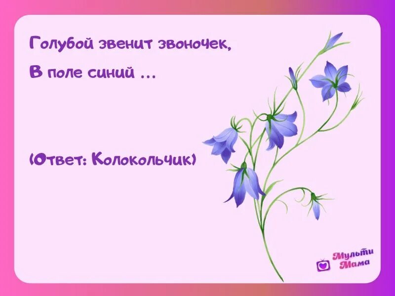 Загадки про цветы для дошкольников. Загадка про колокольчик. Загадка про колокольчик цветок для детей. Загадки про цветы для детей. Загадка про колокольчик для детей.