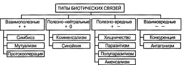 Типы биотических связей схема. Типы биотических отношений. Типы биотических отношений схема. Виды биотических связей. Биологические связи в природе