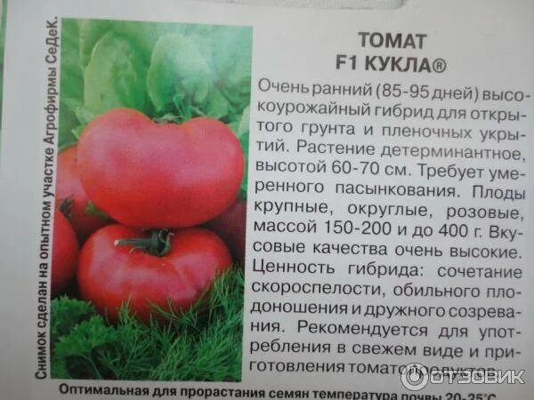 Томат кукла описание сорта