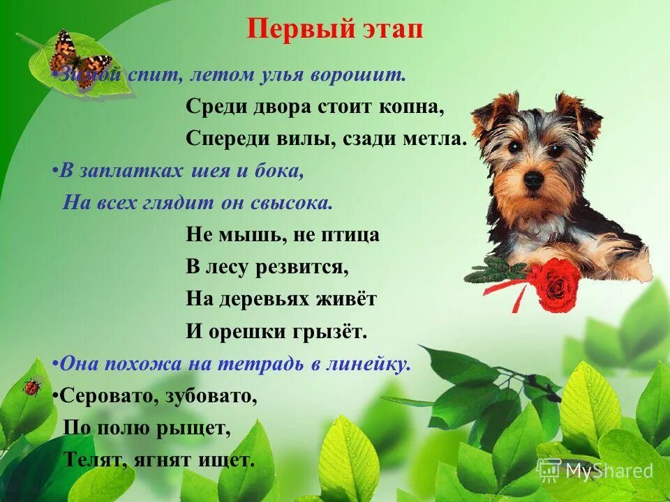 загадка стоит копна спереди вилы сзади метла. этапы викторины. стоит копна посреди двора спереди вилы. постоялый двор в средние века. стоит копна посреди двора спереди вилы.