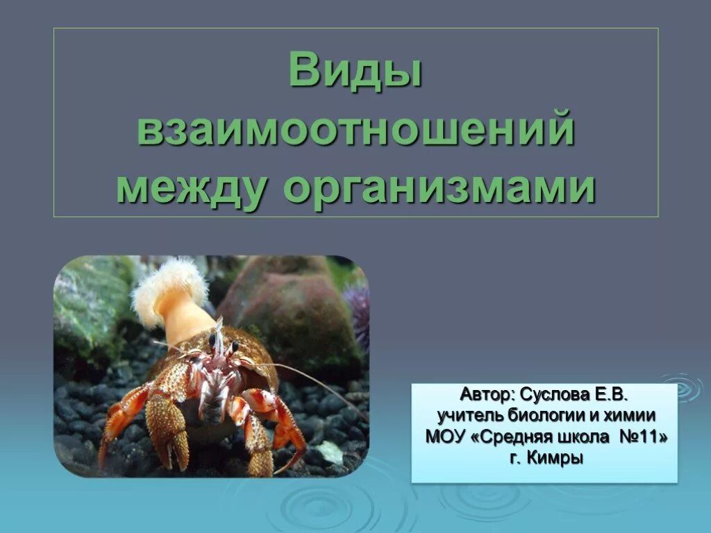 Живые организмы характер взаимоотношений. Взаимоотношения между организмами. Типы взаимоотношения между организмами. Виды взаимоотношений между живыми организмами. Виды взаимодействия живых организмов.