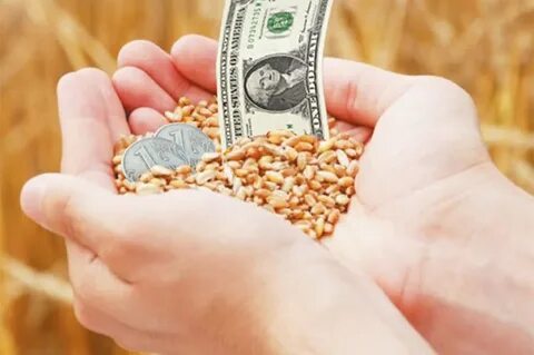 Money sugar