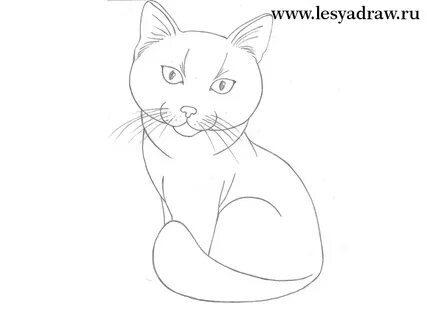 Нарисовать котика для начинающих
