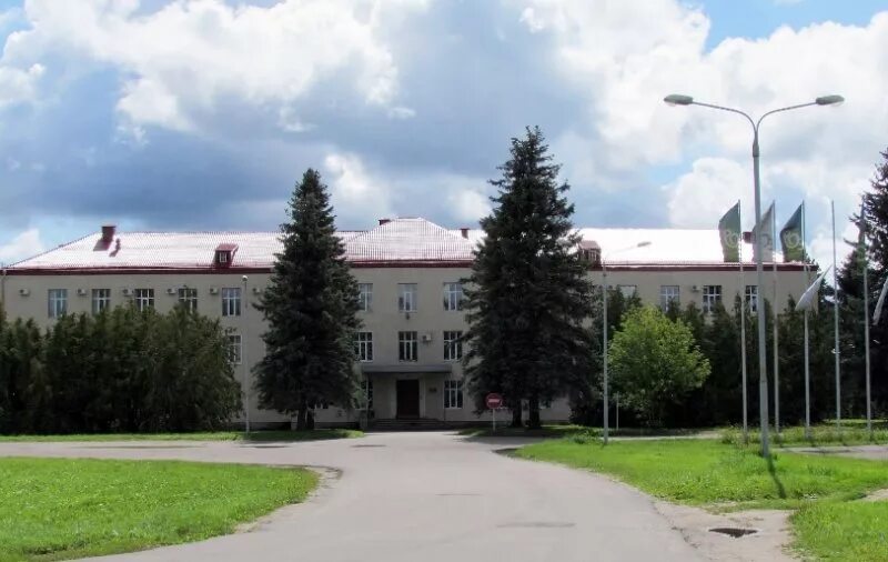 Поселок редкино конаковского района тверской области. Пгт редкино конаковский. Посёлок редкино тверская. Пожар в редкино на первом участке. Заброшки в редкино тверская область конаковский район.