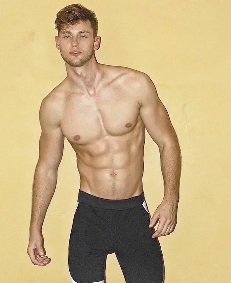 Laurens model