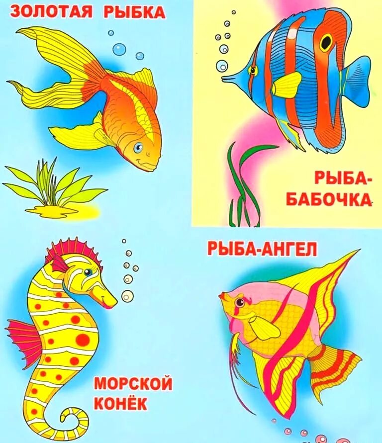 Рыбки для детей с названиями. Аквариумные рыбки с названиями для детей. Аквариумные рыбы для детей с названиями. Иллюстрации аквариумных рыб для детей. Аквариумные рыбы для детей