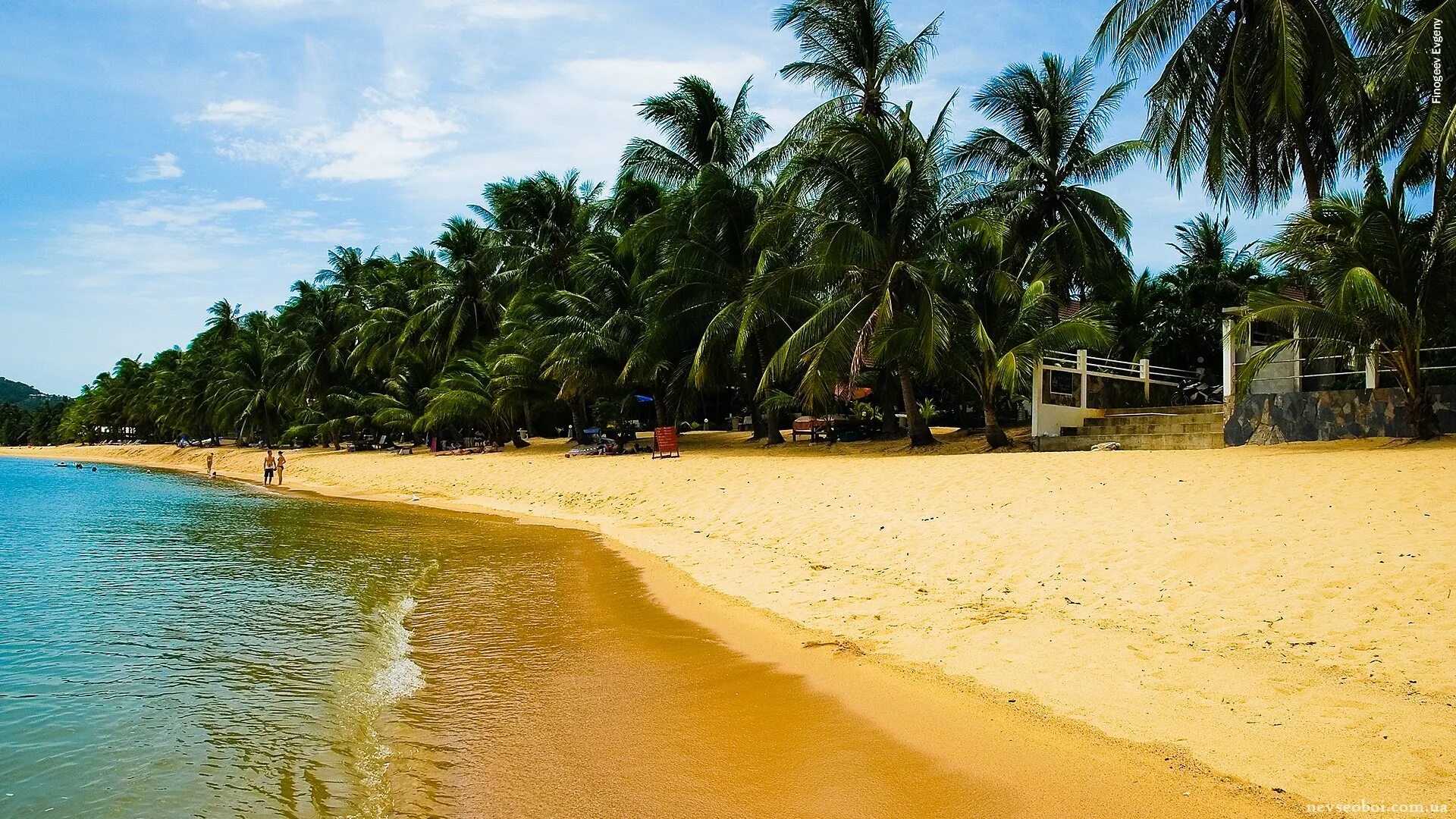 Цвета шри ланки. Гоа Шри Ланка. Coconut Beach Шри Ланка. Остров Гоа. Пляжи Гоа.