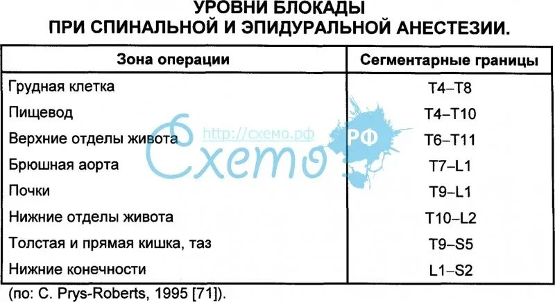 Спинальная анестезия уровень. Уровни спинальной анестезии при операциях. уровни пункции при эпидуральной анестезии. эпидуральная анестезия ур. уровень спинальной анестезии.