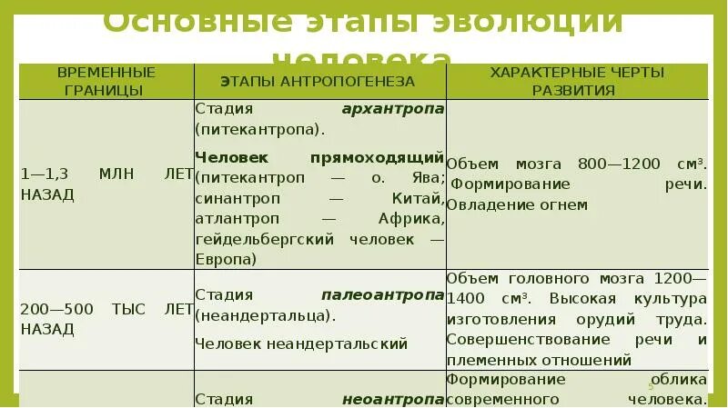 Временные границы этапы антропогенеза характерные черты развития. Этапы развития человека таблица. Временные этапы развития человека. Этапы антропогенеза. Таблица по биологии этапы эволюции