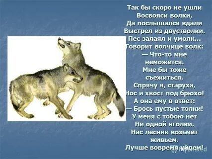 Образуй от слова волк