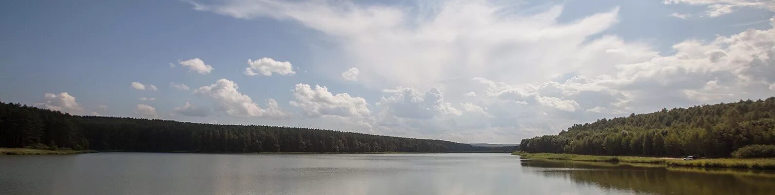 Рыбхоз заря. Чаглавский пруд. Рыбхоз карамышево. Рыбхоз малая истра. Рыбалка на платных прудах.