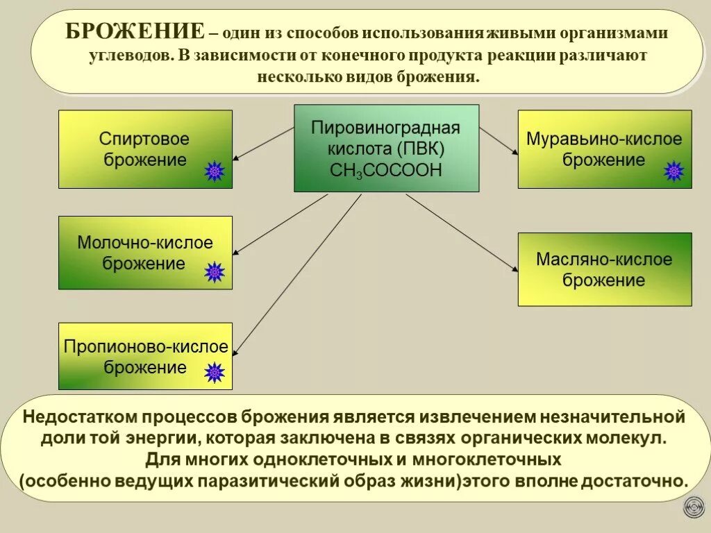 Брожение. Брожение это в биологии. Что такое процесс брожения в биологии. Виды брожения в организме.