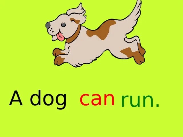 A Dog can Run. Can для детей. A Dog can Run 2 класс. Картинки a Dog can Run for Kids Run. My dog can jump