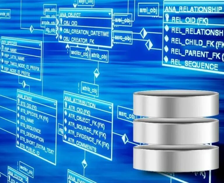 Базы данных. Информация базы данных. Изображение базы данных. Базы данных иллюстрация. База информационных сайтов
