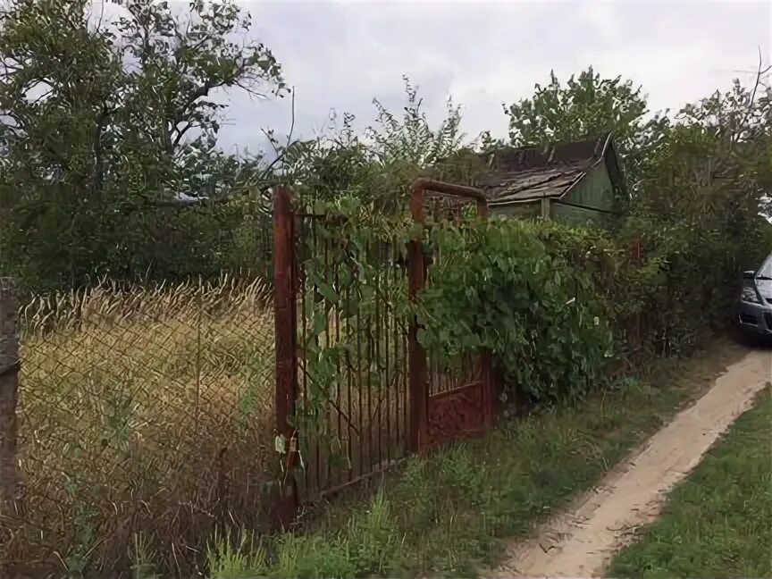Усть донецк дачи. Дача (донецкая область). дачи в донецке днр. усть-донецк дачные участки.