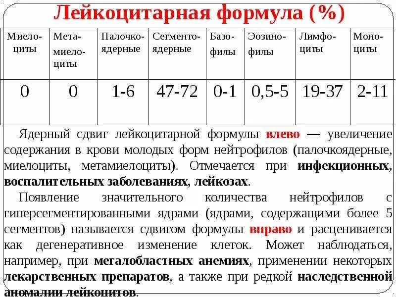 Лейкоцитарная формула расшифровка у взрослых. Лейкоцитарная формула сдвиги крови сдвиги. Сдвиг лейкоцитарной формулы влево. Лейкоцитарная формула крови сдвиг влево. Сдвиг в сторону нейтрофилов лейкоцитарной формулы.