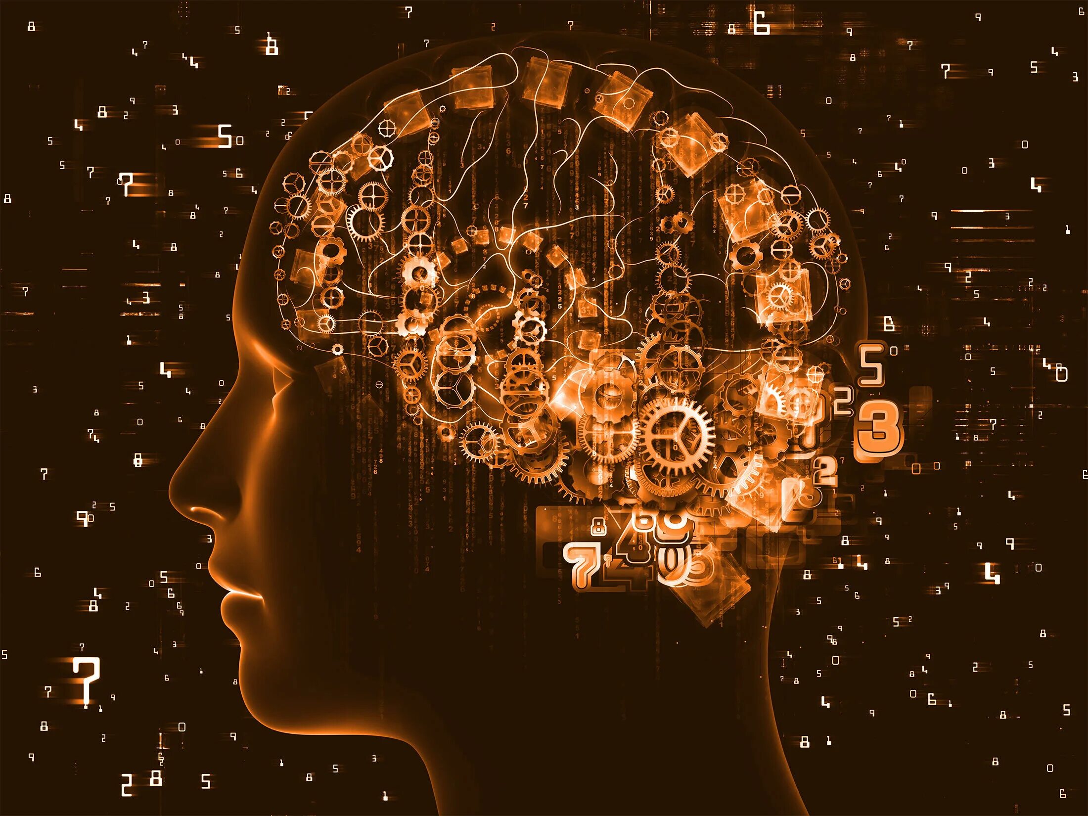 самопознание это в психологии. мозг психология. человек философия. разум мышление. познание человека психология.