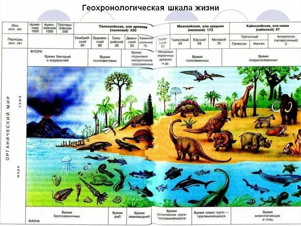 Эры возникновения жизни. Геохронологическая Кайнозой. Геохронологическая шкала палеонтология. Геохронологическая шкала эры периоды.