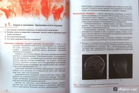 Учебник по биологии 8 класс 9 параграф